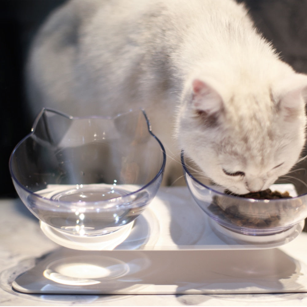 Orthopedic Anti-Vomit Cat Feeder