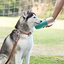 dog travel water bottle