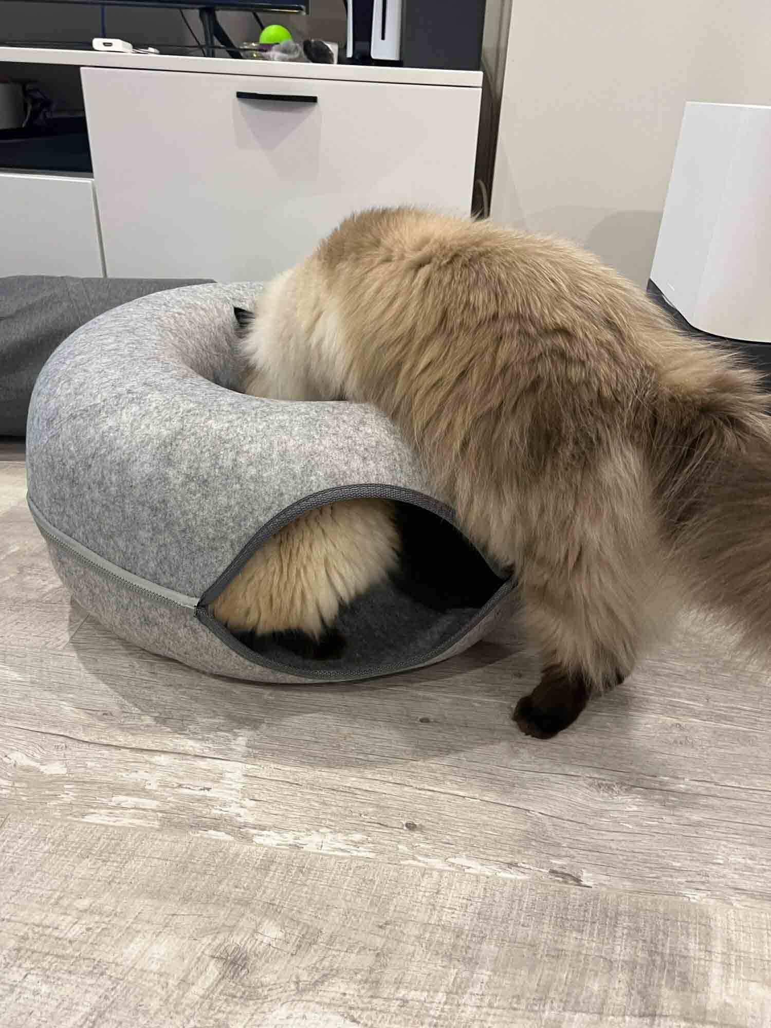 Donut Interactive Cat Tunnel Bed photo review