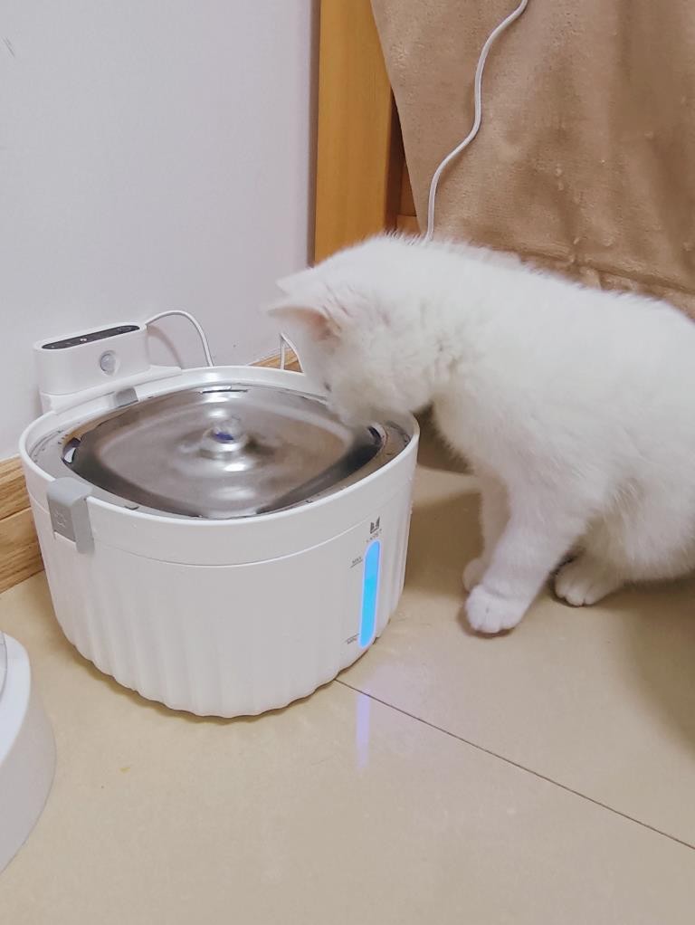 Wireless Cat Water Fountain with Sensor photo review