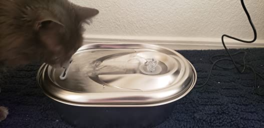 Stainless Steel Bath Tub Pet Water Fountain photo review