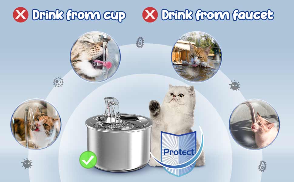 cat water fountain