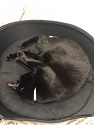 K&H Heated Cat Bed photo review